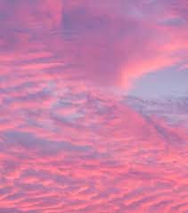 Blue aesthetic dark rainbow aesthetic aesthetic colors aesthetic images aesthetic backgrounds aesthetic photo aesthetic wallpapers blue aesthetic tumblr aesthetic roses. Pink And Blue Wallpaper Images On Favim Com