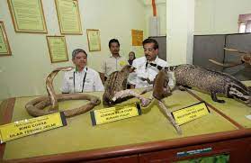 Akta berkaitan dan permit/lesen memelihara burung. Lawatan Korporat Menteri Ke Pusat Konservasi Hidupan Liar Sungkai 09 July 2013 Sungkai Yb Datuk Seri G Palanivel Menteri Sumber Asli Dan Alam Sekitar Telah Mengadakan Lawatan Korporat Ke Pusat Konservasi Hidupan Liar Sungkai Jabatan