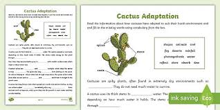 Growing cacti is not really difficult and can be quite rewarding. Cactus Adaptation Teacher Made