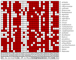 Image result for Dalbergia martinii