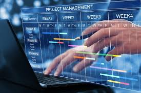 Why Microsoft Project Is The Most Popular Tool: Features, Pros And Cons |  TeamRelated