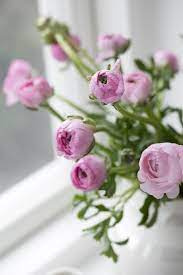 Nowy Wazon Omaggio Kahler Design Pink Flowers Flower Pictures Bloom