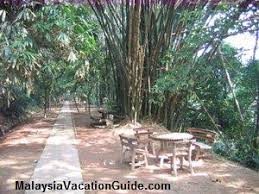 7.00am to 6.00pm daily including weekends and public holidays. Bukit Nanas Forest Reserve