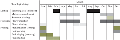 Image result for Pouteria adolfi-friedericii