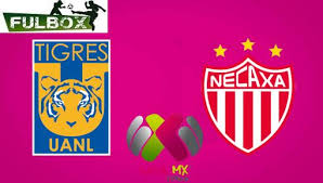 Check spelling or type a new query. Resultado Tigres Vs Necaxa Video Resumen Goles Jornada 5 Liga Mx Femenil Clausura 2021