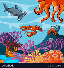 Image result for sea animals on the ocean