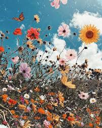 Let All Your Ideas Of Limits Go That S How Flowers Unfold K Tolnoe Flower Aesthetic Flowers Aesthetic Wallpapers