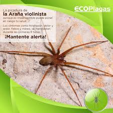 Nerviosismo causas sintomas y tratamiento. Facebook
