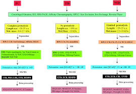 Middle Down Approach A Choice To Sequence And Characterize