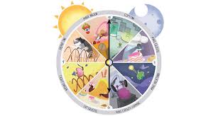 The Origin Of Biological Clocks Science News