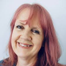 North Devon local election: The 3 candidates in Marwood