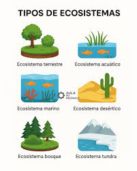TIPOS DE ECOSISTEMAS • Ecosistema terrestre ?: Se desarrolla sobre tierra  firme; incluye bosques, praderas y montañas. • Ecosistema acuático ?:  Formado por ríos, lagos y lagunas donde predominan especies de agua