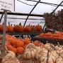 Highland Pumpkin Farm from fox23maine.com