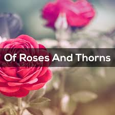 Maybe you would like to learn more about one of these? Of Roses And Thorns Album By Various Artists Spotify