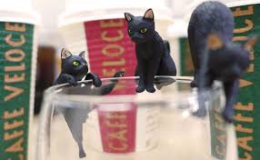 Black cat coffee roasters are a small batch, craft coffee roaster in titusville, florida. These Fuchineko Cat Figures From Caffe Veloce Will Make Any Drink A Hundred Times Cuter Soranews24 Japan News