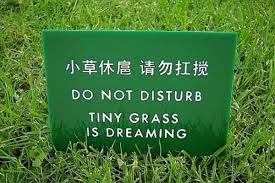 40 Times Translations Went Hilariously ...