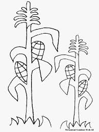 Mewarnai Gambar Jagung Mewarnai Gambar
