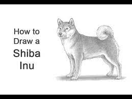 Step two, draw three more bean shapes on the upper body and waist for the guides for the legs. How To Draw A Dog Shiba Inu Youtube
