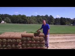 We have all the solutions for your landscaping projects in central. Durablend Tall Fescue From Central Sod Farms Youtube