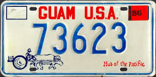 pin on license plates