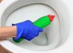 How to Unclog Your Toilet Without a Plunger - TipHero
