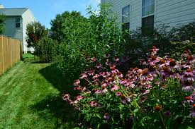 Foundation Plantings Upper Marlboro Md Entire Yard Renovation New Home Needed Complete Landscape Design Includes Pl Landscape Design Plant Design Plants