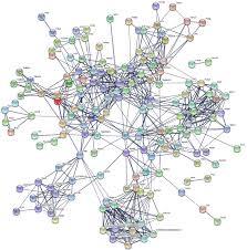 Register free for online tutoring session to clear your doubts. Heterogeneity Of Proteome Dynamics Between Connective Tissue Phases Of Adult Tendon Elife