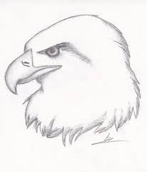 25 Cool Things To Draw That Are Easy And Fun For Beginners Pencil Drawings Of Animals Animal Sketches Easy Easy Animal Drawings