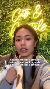 Adopt don’t shop 🥰 Our rescue, Today Tomorrow Forever @ttf_animalrescue  saves cats and helps find their furever home! Come meet their rescues HERE  at Cats & Crystals 🐱🌿🍄, . , . , #sandiego #catrescue ...