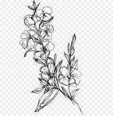 Flower background with blossom branch of pink magnolia. Flower Branch Submitted By Walmartteacups To R Drawing Of Flower Branch Png Image With Transparent Background Toppng
