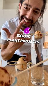 6 Exotic Plant Projects to Try at Home 🌱