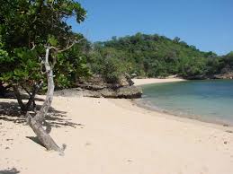 Pantai nihiwatu sempat masuk dаlаm daftar 100 pantai nah, itulah beberapa rekomendasi penginapan tepi pantai paling indah di indonesia. Tanah Dijual Tanah Luas Di Tepi Pantai Daersah Wisata Di Sukabumi