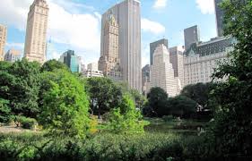 Coldea, întâlniri cu spioni la ambasada franţei. Ambasada Sua La Bucuresti AnunÅ£Äƒ CÄƒ Programul News Ro