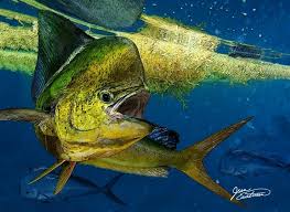 Looking for the best fishing wallpaper? Offshore Fishing Wallpapers Group 42