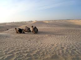 When you ride a camel through the desert you will be surrounded by an incredibly good feeling that you will not forget for a long time. The Sahara Desert In Tunisia Tourist Information