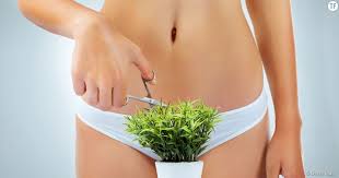 A quoi servent les poils. Poils Voici Pourquoi Les Femmes Se Rasent Terrafemina