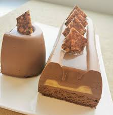 Buche Au Chocolat Et Cremeux Vanille Guy Demarle Recette Buche Au Chocolat Mousse Au Chocolat Rapide Recette Biche