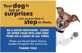Pet Friendly Apartment Near You Https Provoluxuryapartments Com Pet Friendly Apartment Near You 2 Pet Friendly Apartments Apartment Pet Pets