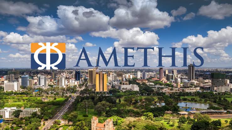 Navigating the African Private Equity Landscape: Insights from Laurent Demey of Amethis