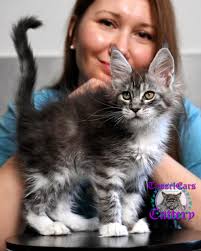 ry_f 😹She's a real opera singer🎙️! One of 🕊️Olivia's daughters. 🌐All  general info can be found