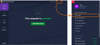 How To Exclude Files Or Websites From Scans In Avast Antivirus Avast