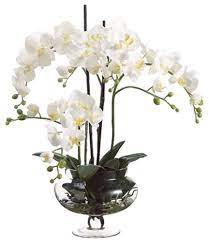 Cream Orchids In Clear Glass Vase 25 High Faux Flowers N6668 Lamps Plus Orchid Flower Arrangements Orchid Arrangements Flower Arrangements