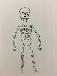 Iskelet Sanat Faaliyetler Matematik