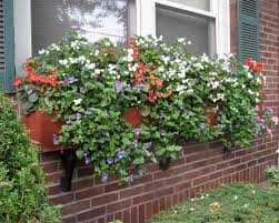 Maybe you would like to learn more about one of these? Fs1215 Outdoor Container Gardening With Flowering And Foliage Plants Rutgers Njaes