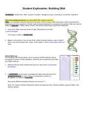 As you work on each chapter, use the foldable™ at the beginning of the chapter to keep track of information from the chapter, including key words, examples, key ideas, and what you need to work on. Copy Of Gizmo Building Dna Student Exploration Building Dna Vocabulary Double Helix Dna Enzyme Mutation Nitrogenous Base Nucleoside Nucleotide Course Hero