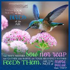 Look At The Birds Of The Air They Neither Pin On Jesus Loves Me