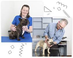 At healthy pets animal hospital our primary task is to encourage the pet family bond by maintaining the highest standards in veterinary medicine. Pets Health Veterinary Practices L Veterinarian Hilton O Halloran Hill