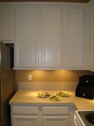 Kitchen Refab Long Overdue Saving The Family Money Home Kitchens Kitchen Remodel Diy Kitchen Cabinets