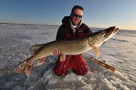 Case, e altre opzioni perfette per viaggi in famiglia, con gli amici e in coppia. Lake Of The Woods The Walleye Capital Of The World