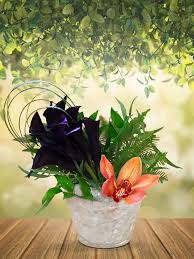 Portail des communes de france : Black Calalilies Lefleur V A S E In Hollywood Ca Lefleur Vase